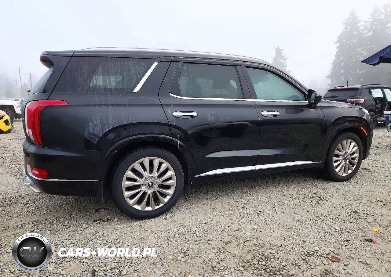 2020 Hyundai Palisade Limited VIN:KM8R5DHE5LU099102 - 3