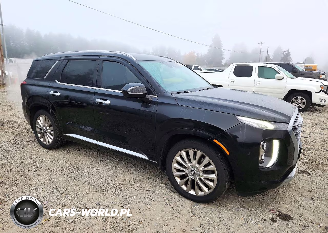 2020 Hyundai Palisade Limited VIN:KM8R5DHE5LU099102 - 4