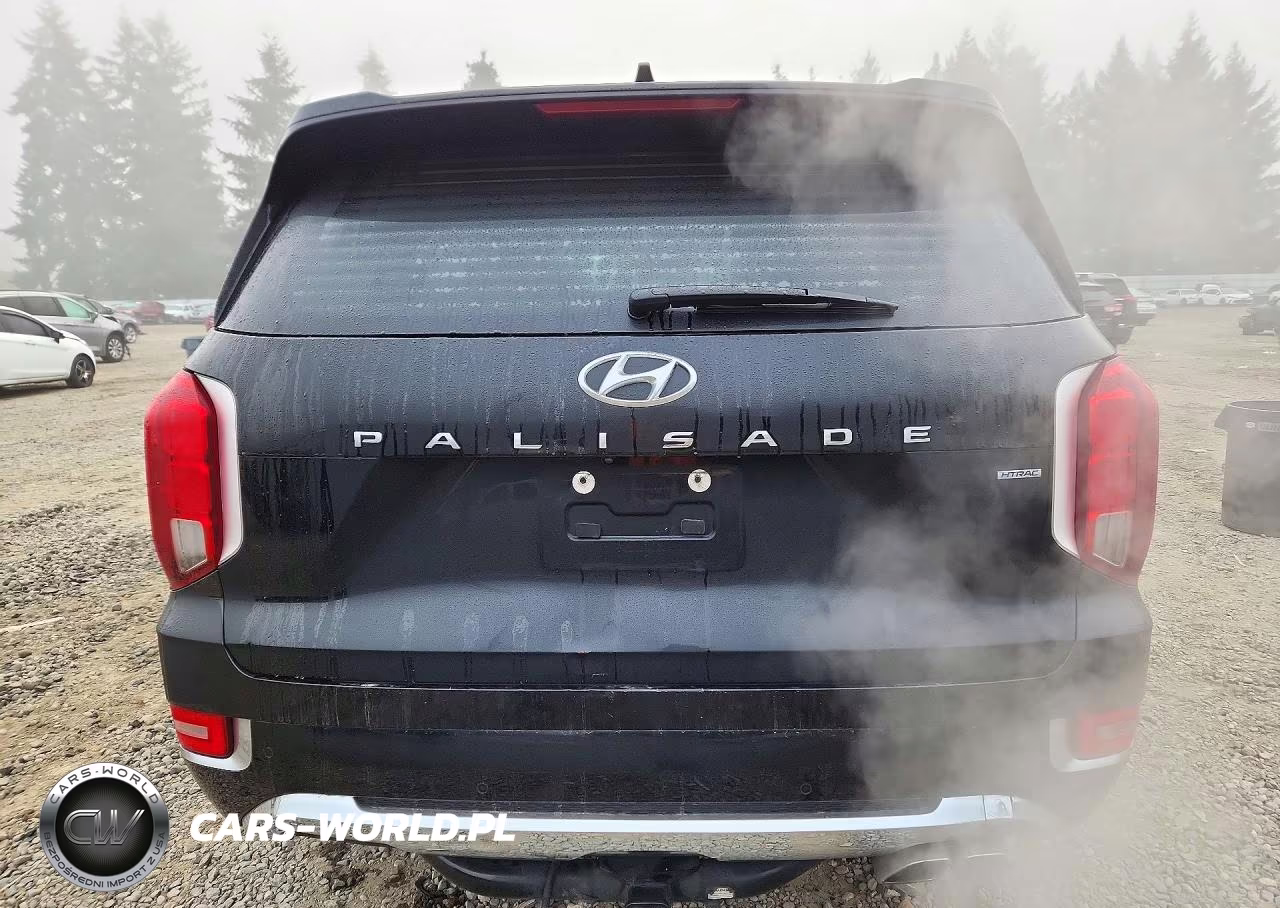2020 Hyundai Palisade Limited VIN:KM8R5DHE5LU099102 - 6
