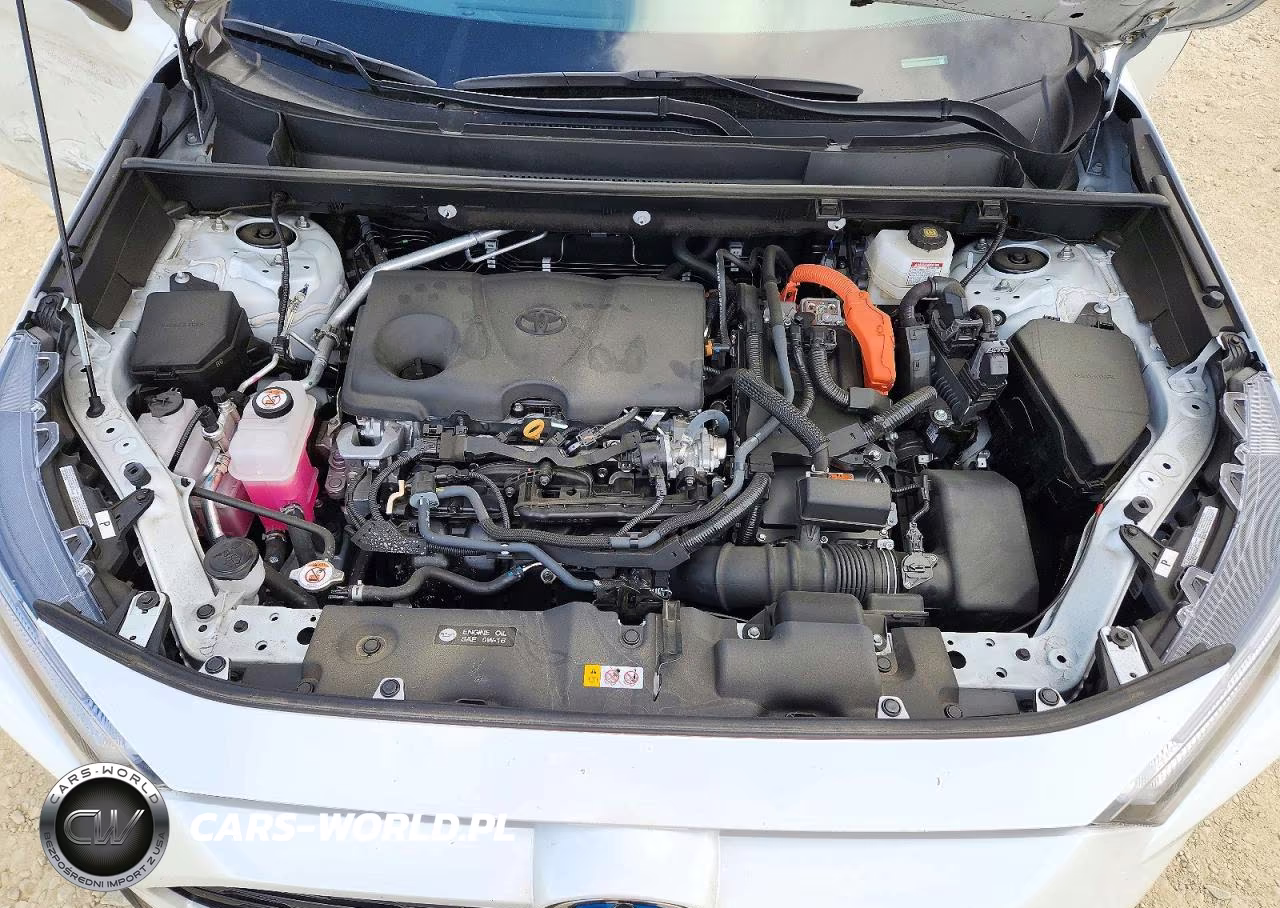 2024 Toyota Rav4 Se VIN:4T3T6RFV3RU144346 - 12