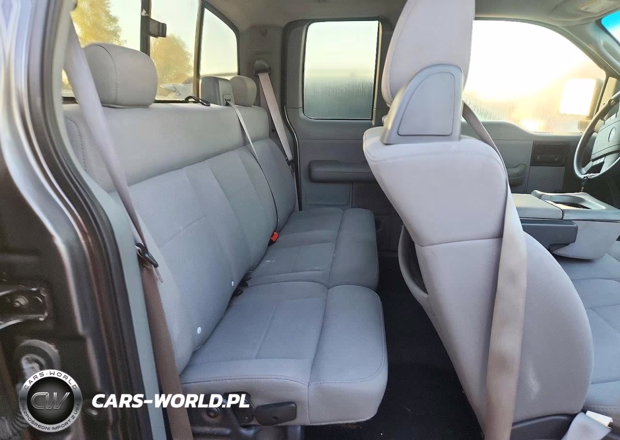 2006 Ford F150 VIN:1FTRX14WX6FA43810 - 10