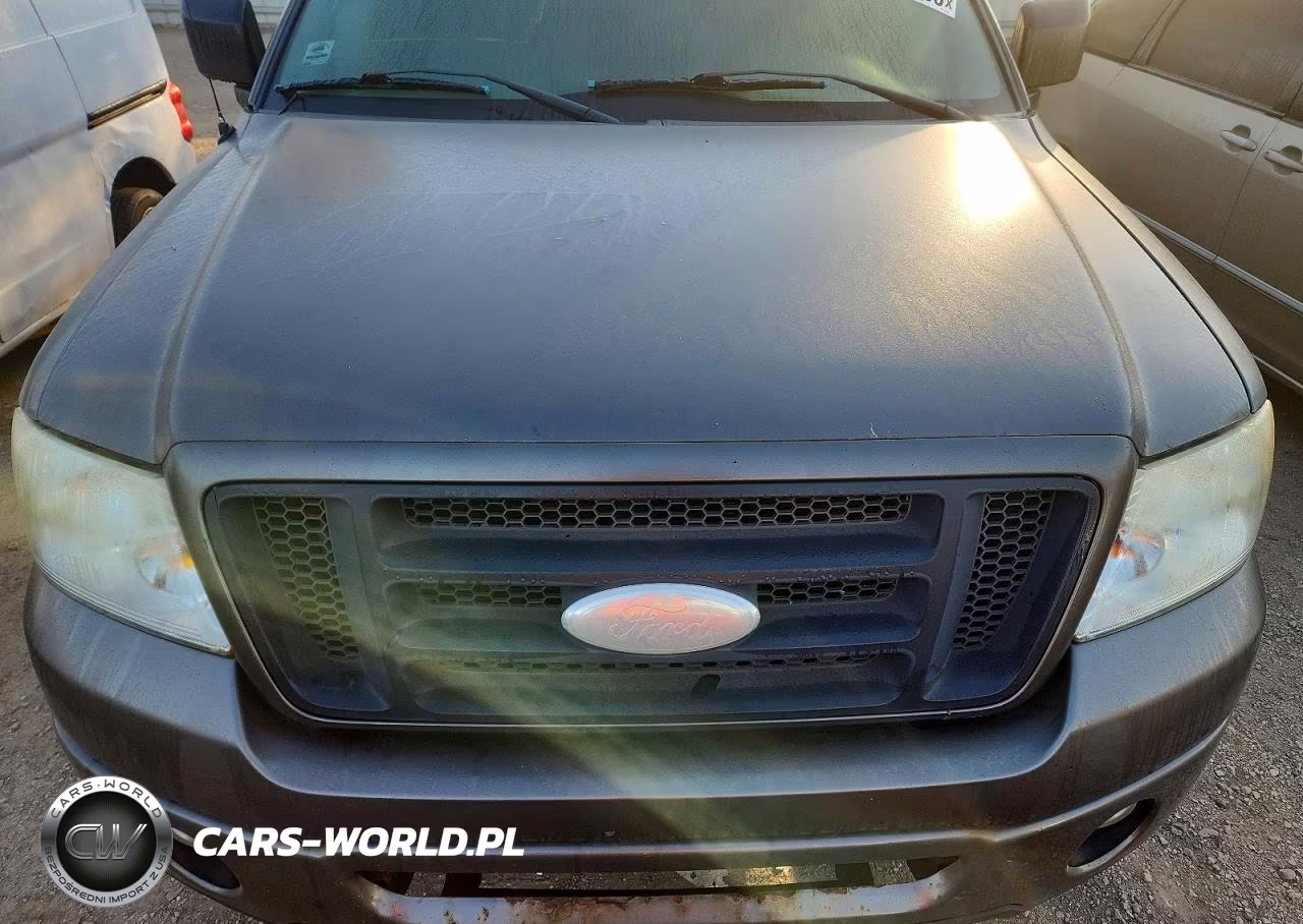 2006 Ford F150 VIN:1FTRX14WX6FA43810 - 11