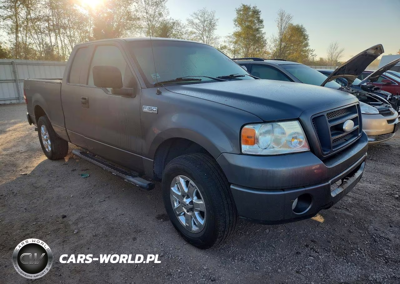 2006 Ford F150 VIN:1FTRX14WX6FA43810 - 4
