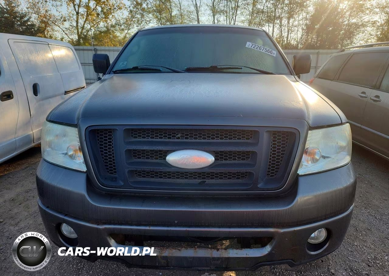2006 Ford F150 VIN:1FTRX14WX6FA43810 - 5