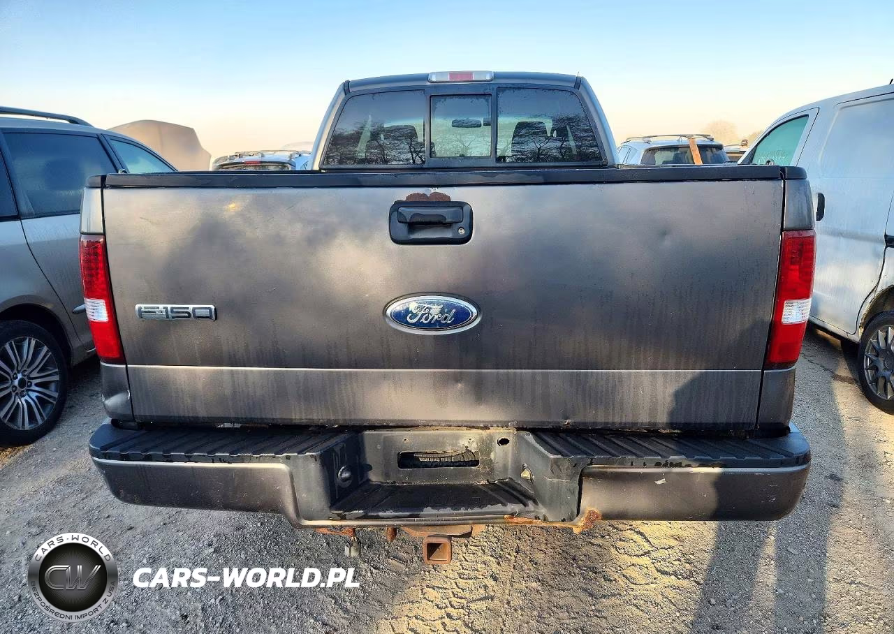 2006 Ford F150 VIN:1FTRX14WX6FA43810 - 6