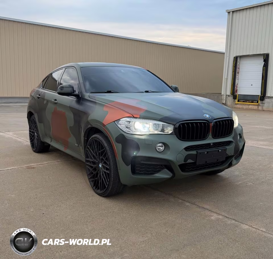 2019 BMW X6 xDrive50I VIN:5UXKU6C52K0Z67041 - 1