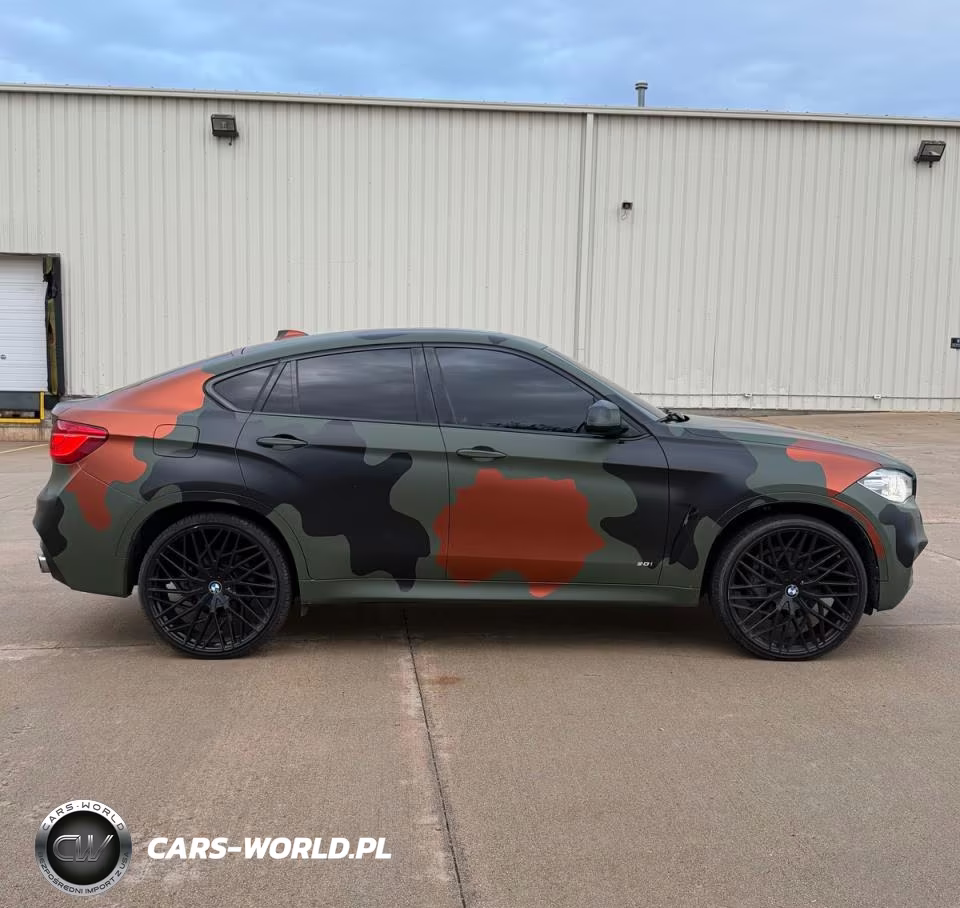 2019 BMW X6 xDrive50I VIN:5UXKU6C52K0Z67041 - 13