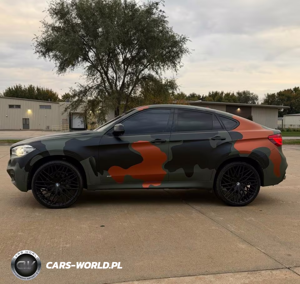 2019 BMW X6 xDrive50I VIN:5UXKU6C52K0Z67041 - 14
