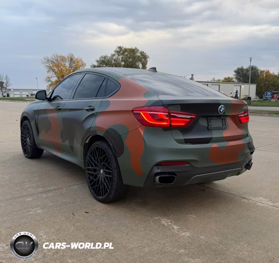 2019 BMW X6 xDrive50I VIN:5UXKU6C52K0Z67041 - 3