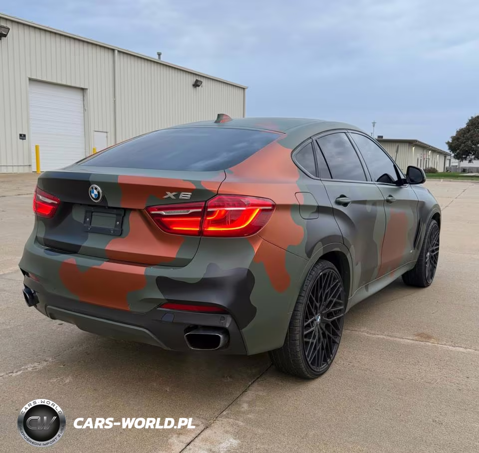 2019 BMW X6 xDrive50I VIN:5UXKU6C52K0Z67041 - 4