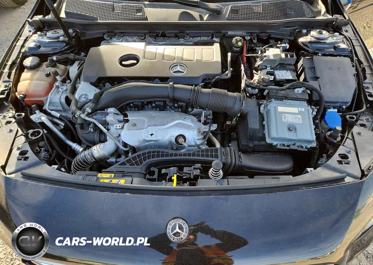 2019 Mercedes-Benz A 220 4Matic VIN:WDD3G4FB4KW002624 - 11
