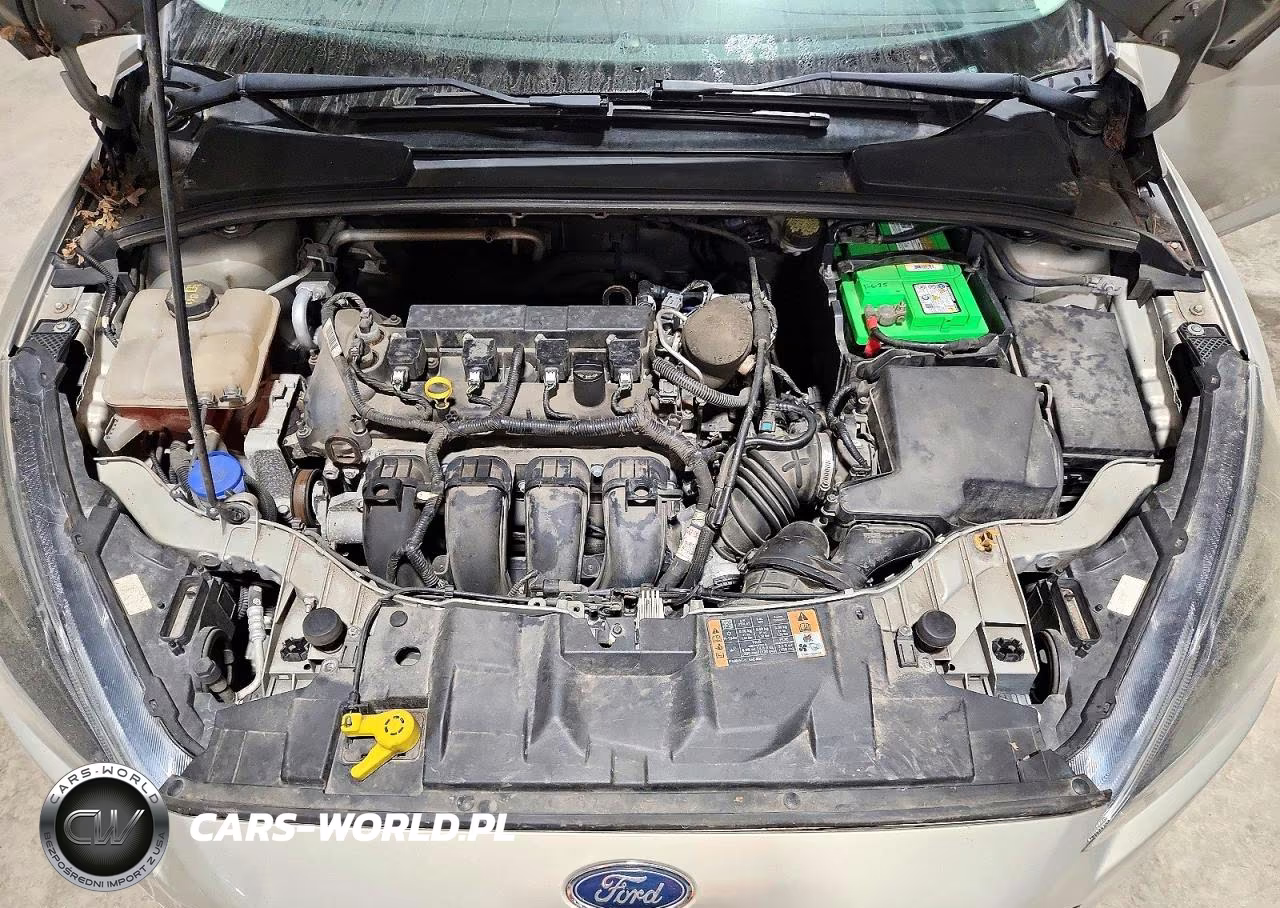 2015 Ford Focus Se VIN:1FADP3K24FL234409 - 11