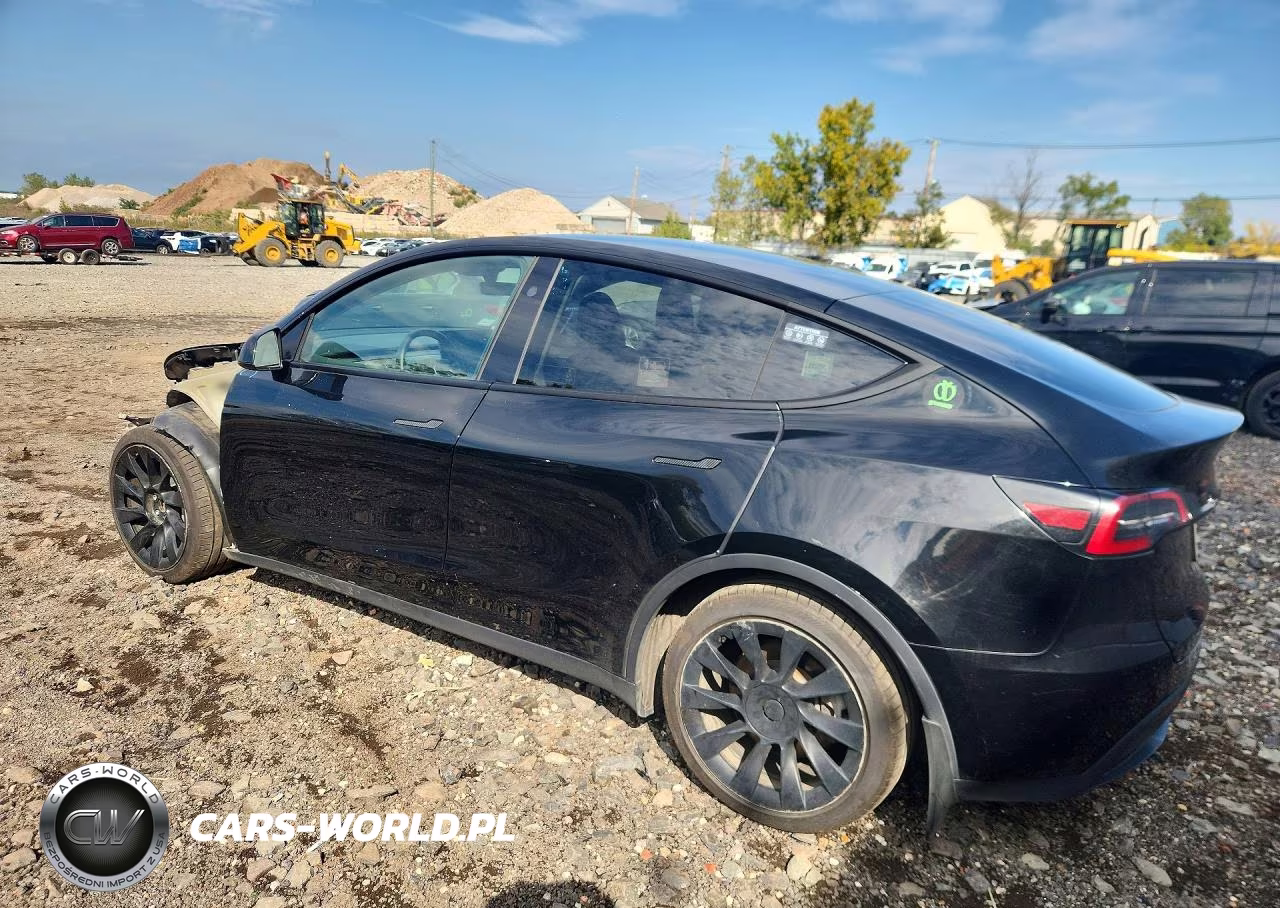 2023 Tesla Model Y VIN:7SAYGAEE2PF921238 - 2