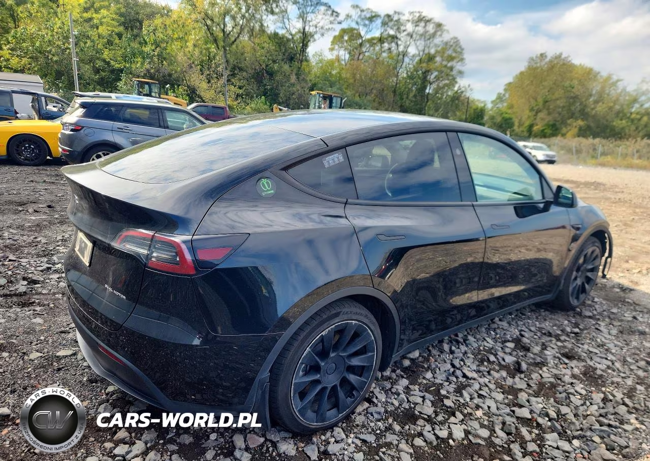 2023 Tesla Model Y VIN:7SAYGAEE2PF921238 - 3