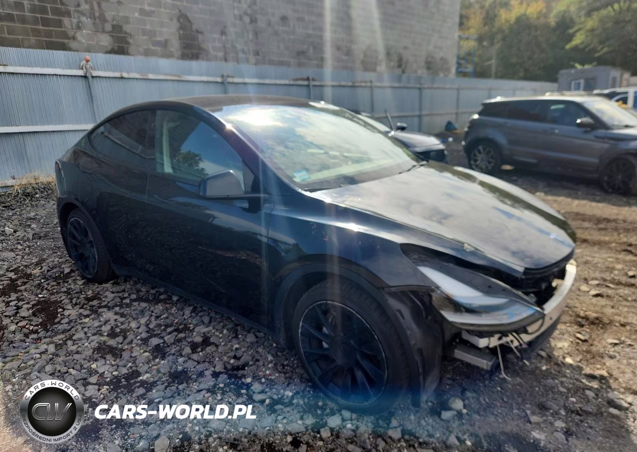 2023 Tesla Model Y VIN:7SAYGAEE2PF921238 - 4