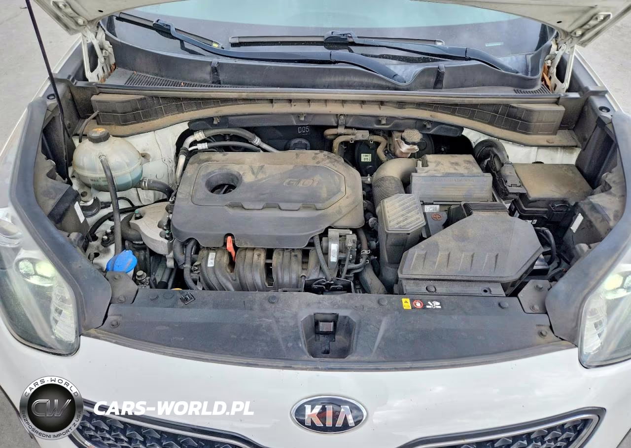 2018 Kia Sportage Lx VIN:KNDPMCAC4J7488729 - 12