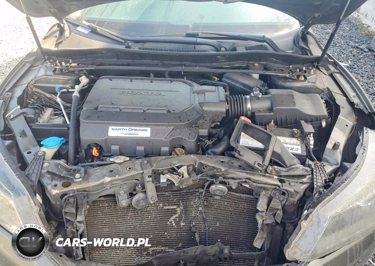 2013 Honda Accord Exl VIN:1HGCR3F89DA037194 - 11