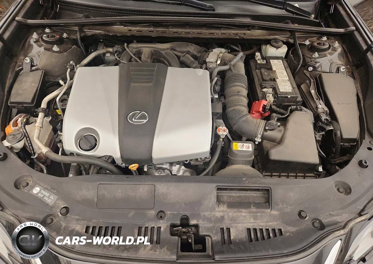 2023 Lexus Es 350 Base VIN:58ADZ1B16PU141990 - 11