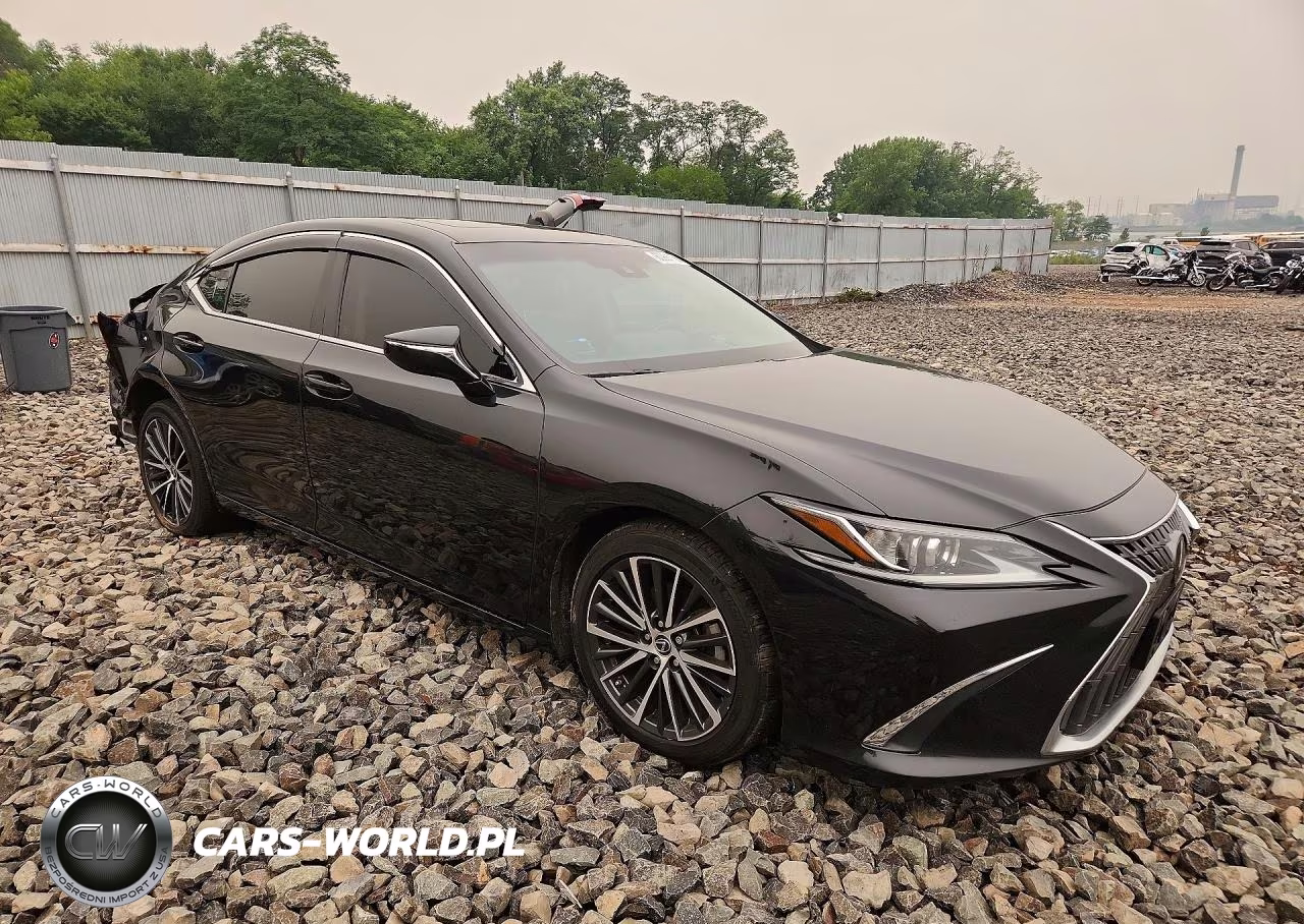 2023 Lexus Es 350 Base VIN:58ADZ1B16PU141990 - 4