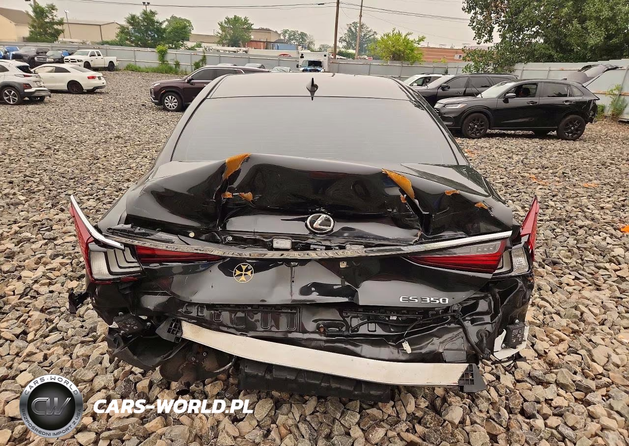 2023 Lexus Es 350 Base VIN:58ADZ1B16PU141990 - 6