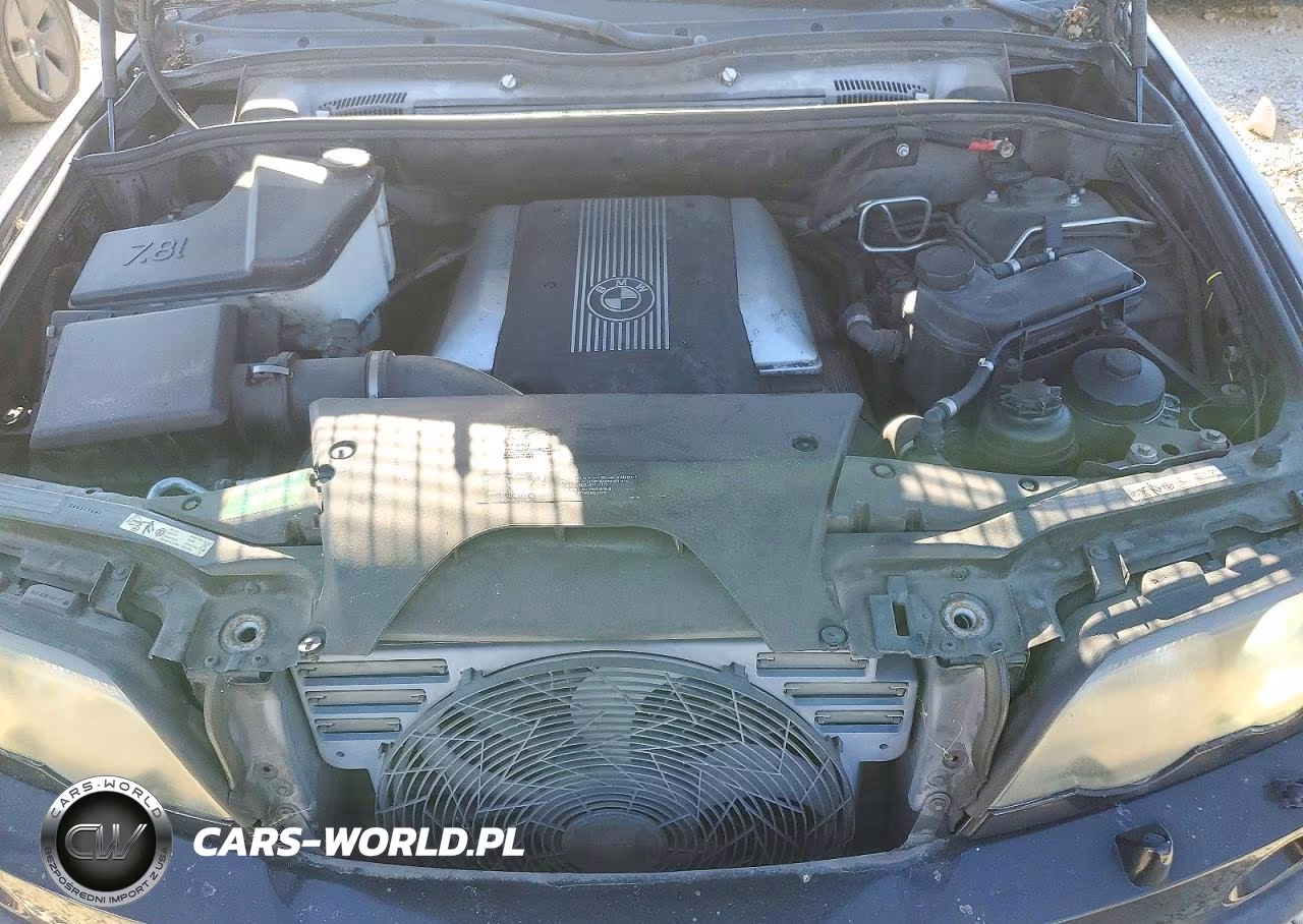 2002 BMW X5 4.4I VIN:5UXFB33562LH36103 - 12