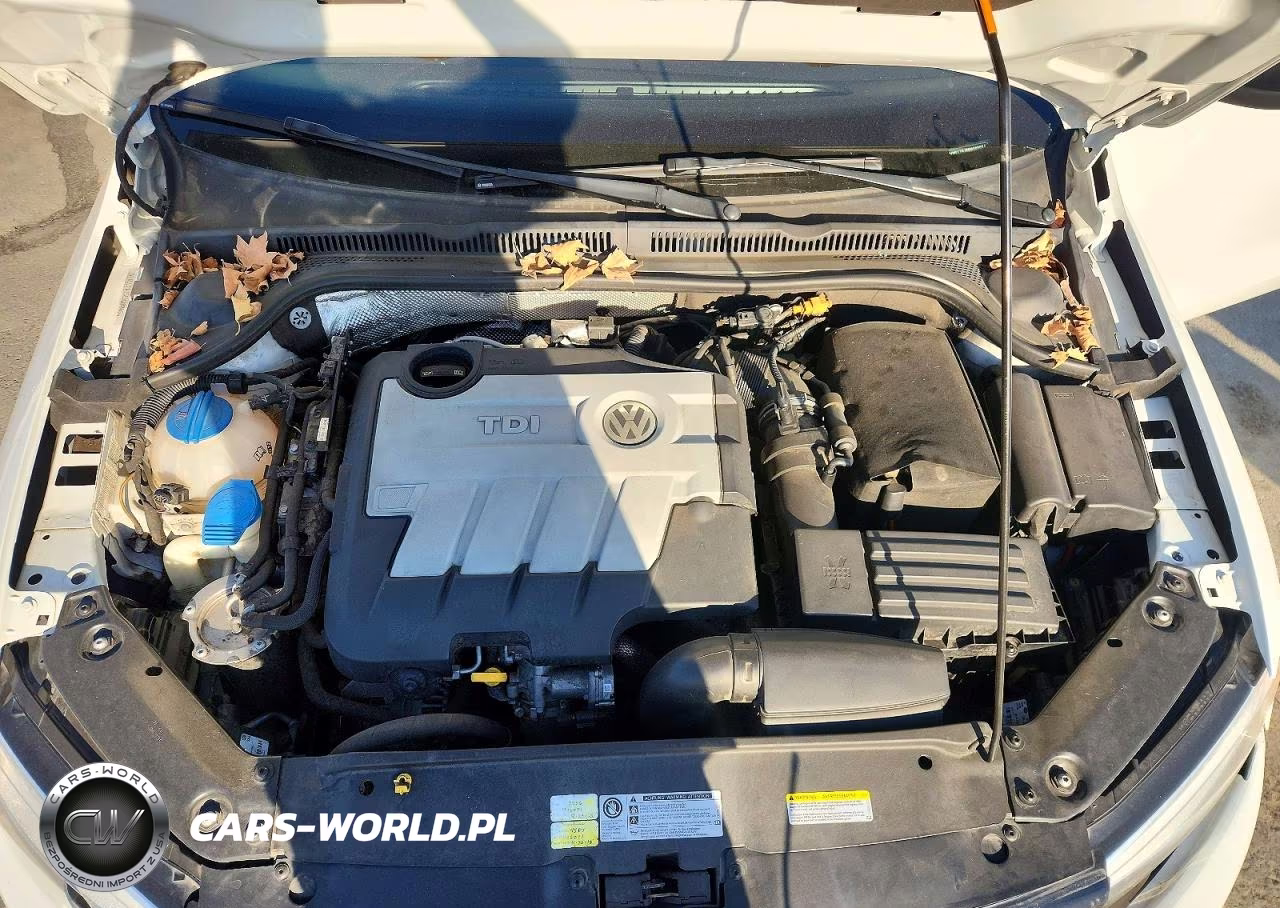 2014 Volkswagen Jetta Tdi VIN:3VWLL7AJ5EM283954 - 11