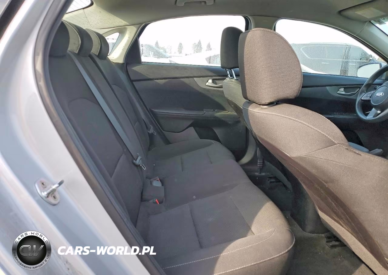 2019 Kia Forte Fe VIN:3KPF24AD7KE064074 - 10