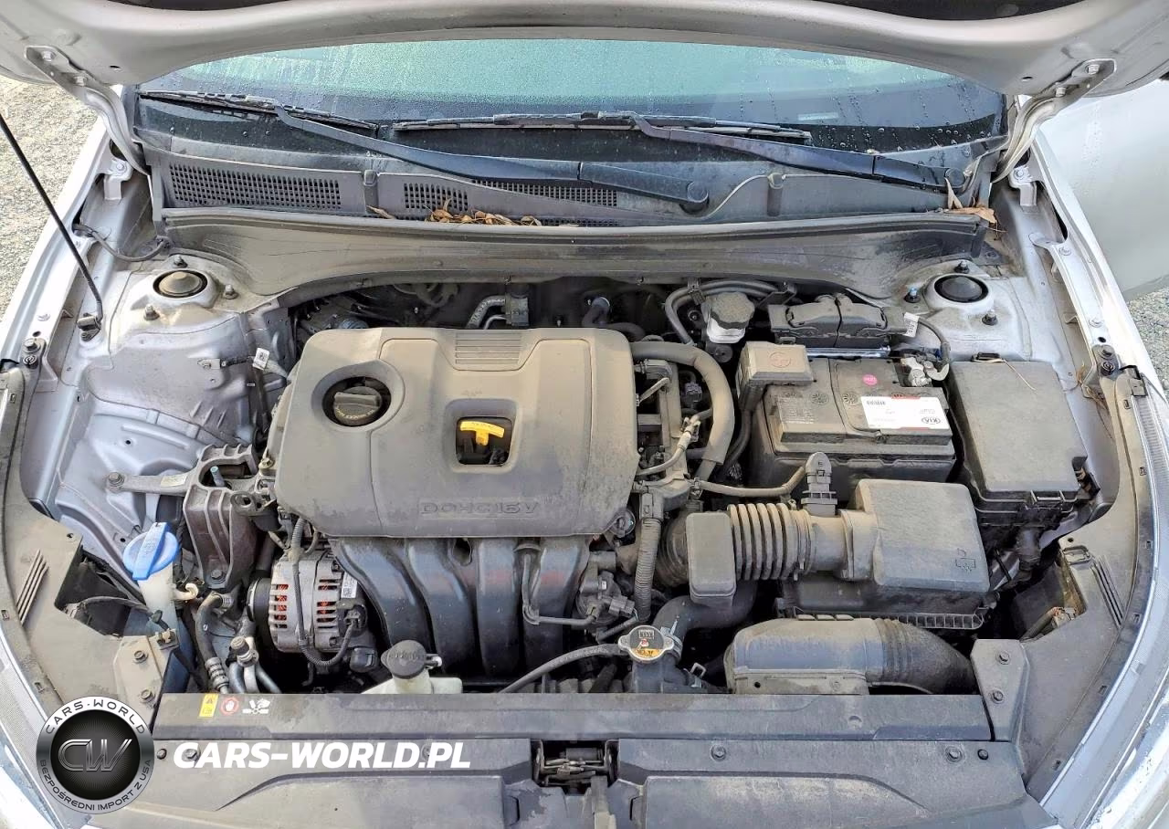 2019 Kia Forte Fe VIN:3KPF24AD7KE064074 - 11