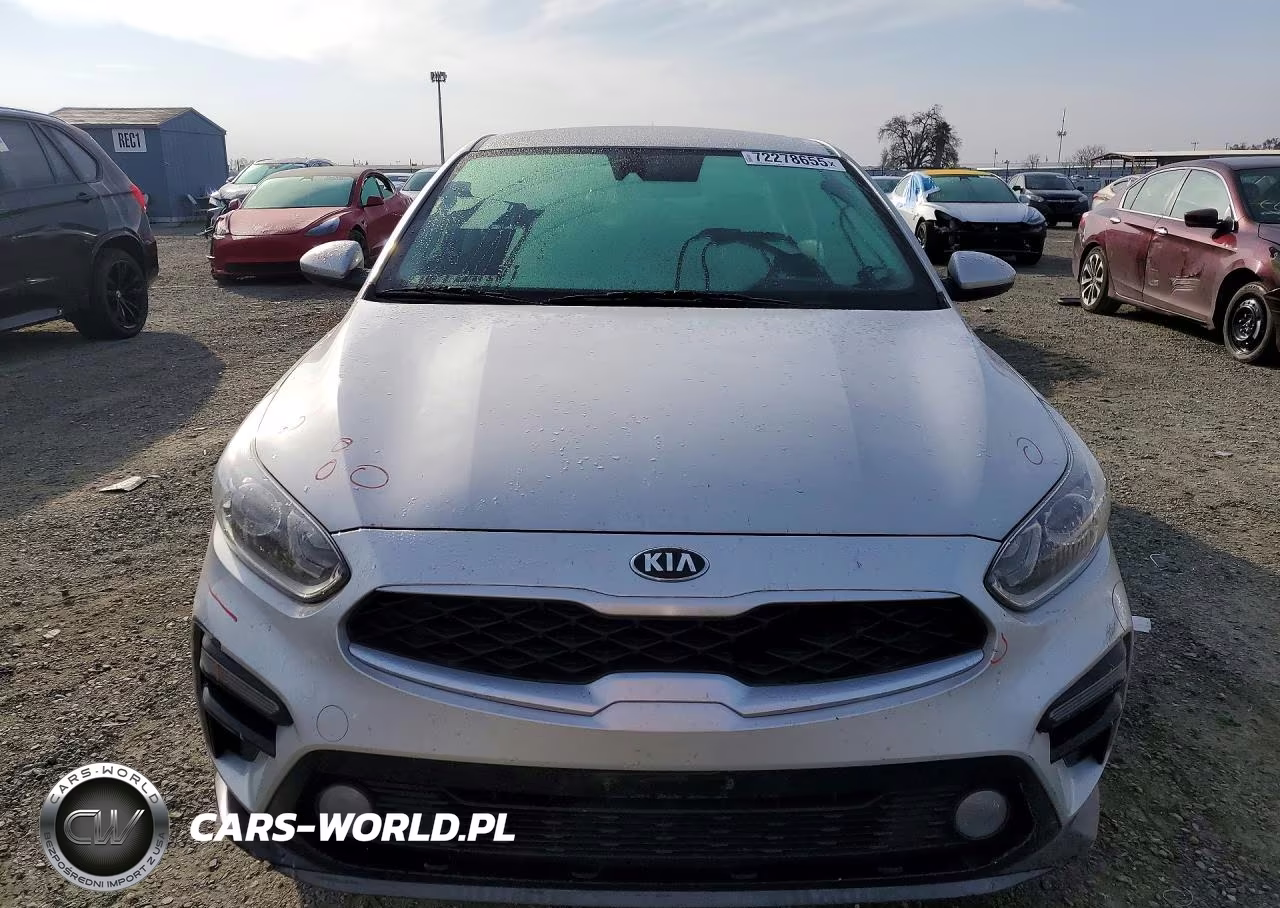 2019 Kia Forte Fe VIN:3KPF24AD7KE064074 - 5