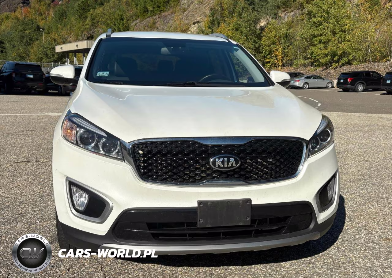 2018 Kia Sorento Ex VIN:5XYPHDA52JG375490 - 12