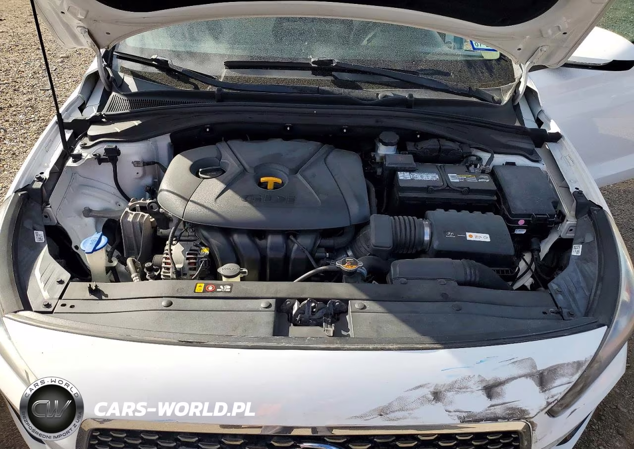 2018 Hyundai Elantra Gt Base VIN:KMHH35LE7JU039785 - 11