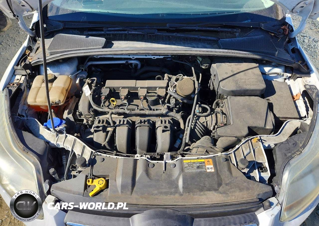 2014 Ford Focus Se VIN:1FADP3K27EL144833 - 11