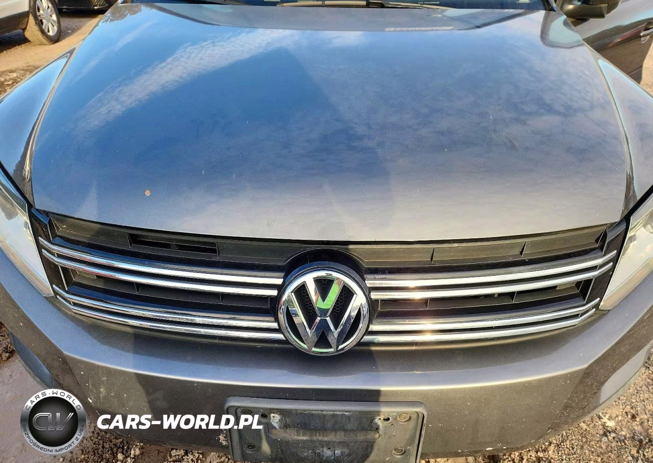 2015 Volkswagen Tiguan S VIN:WVGBV7AX7FW615483 - 12