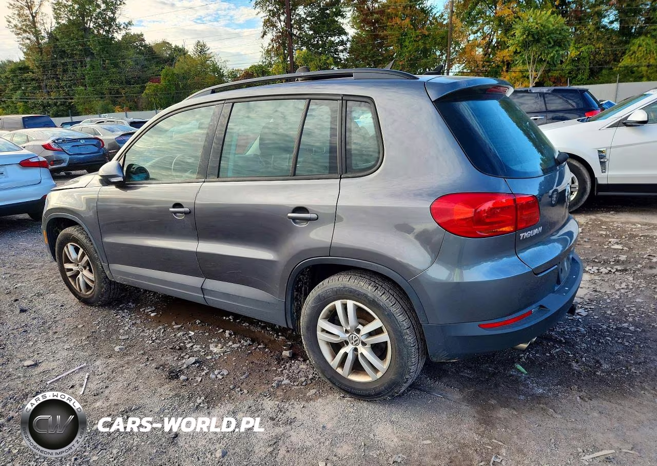 2015 Volkswagen Tiguan S VIN:WVGBV7AX7FW615483 - 2