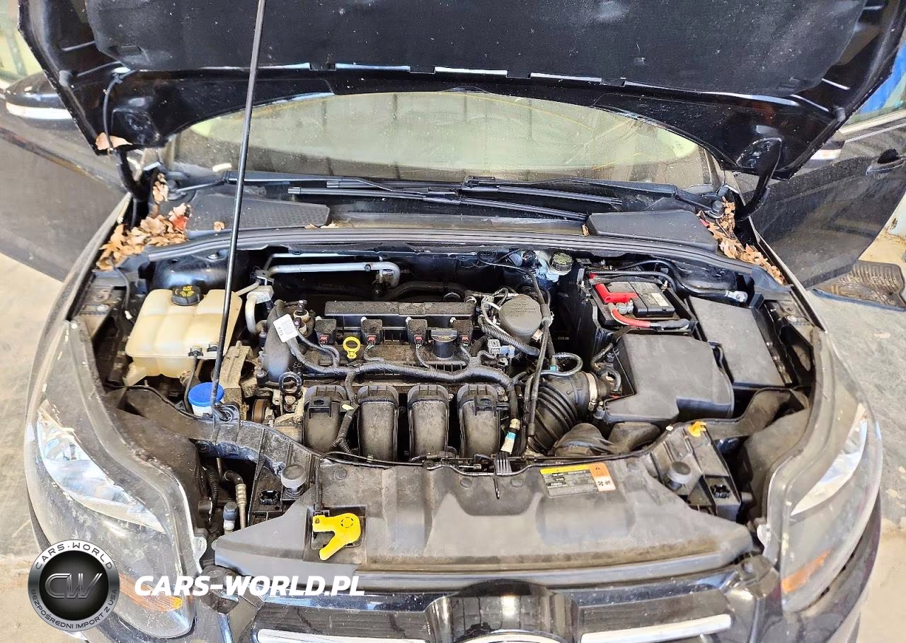 2014 Ford Focus Titanium VIN:1FADP3J22EL105181 - 11
