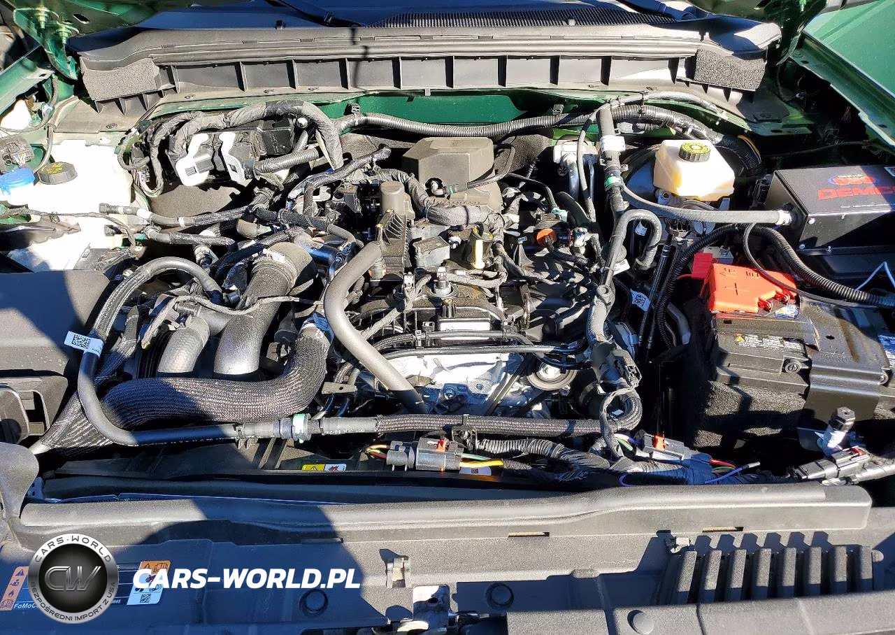 2024 Ford Bronco Big Bend VIN:1FMDE7AH5RLB28743 - 11