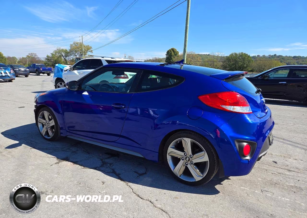 2013 Hyundai Veloster Turbo VIN:KMHTC6AE0DU156826 - 2