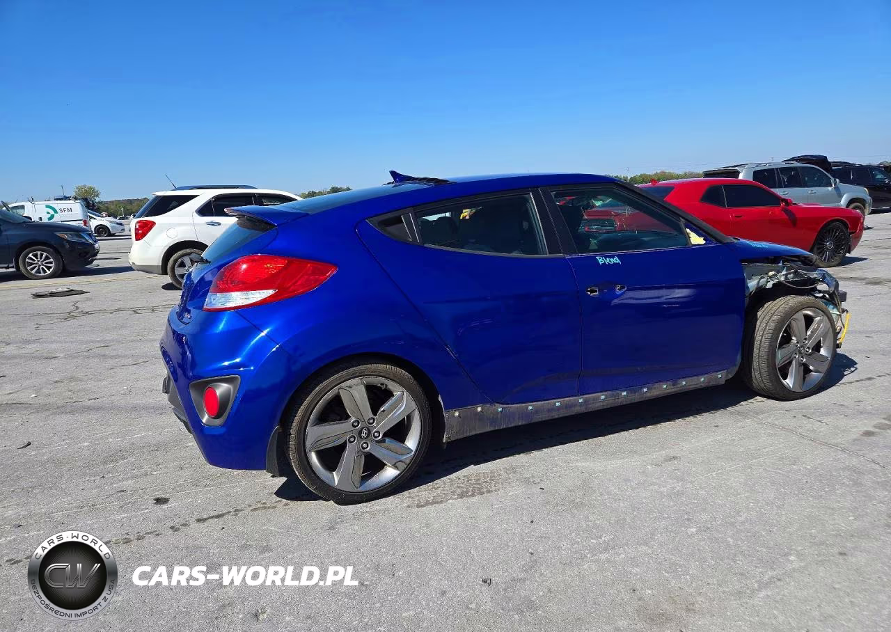 2013 Hyundai Veloster Turbo VIN:KMHTC6AE0DU156826 - 3