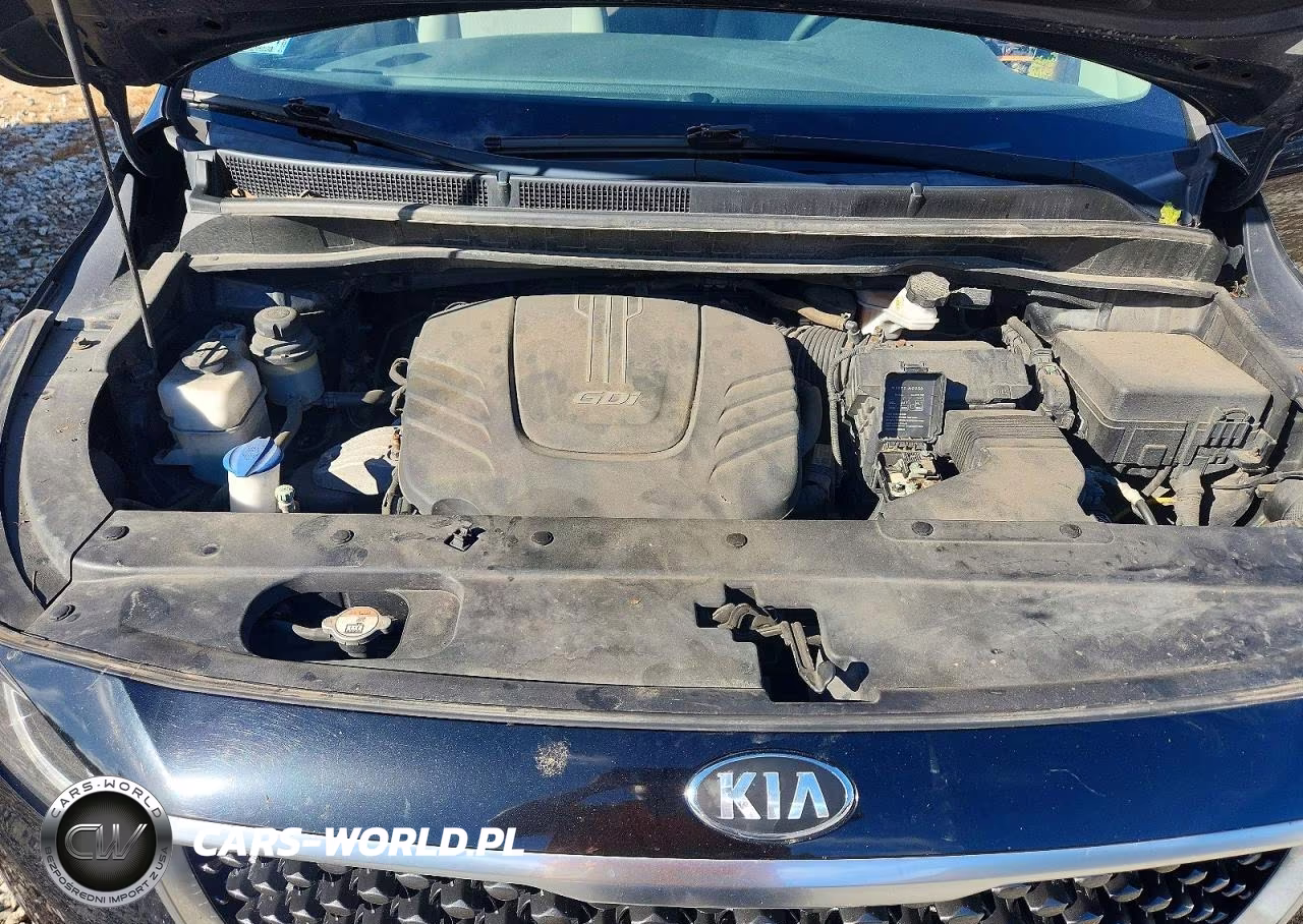 2016 Kia Sedona Lx VIN:KNDMB5C17G6171333 - 12