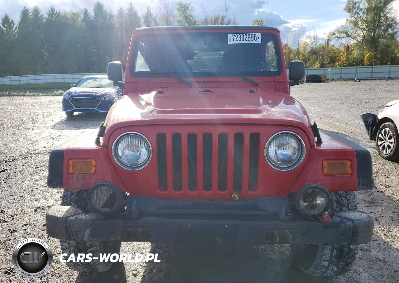 2003 Jeep Wrangler - Tj Rubicon VIN:1J4FA69SX3P328031 - 5