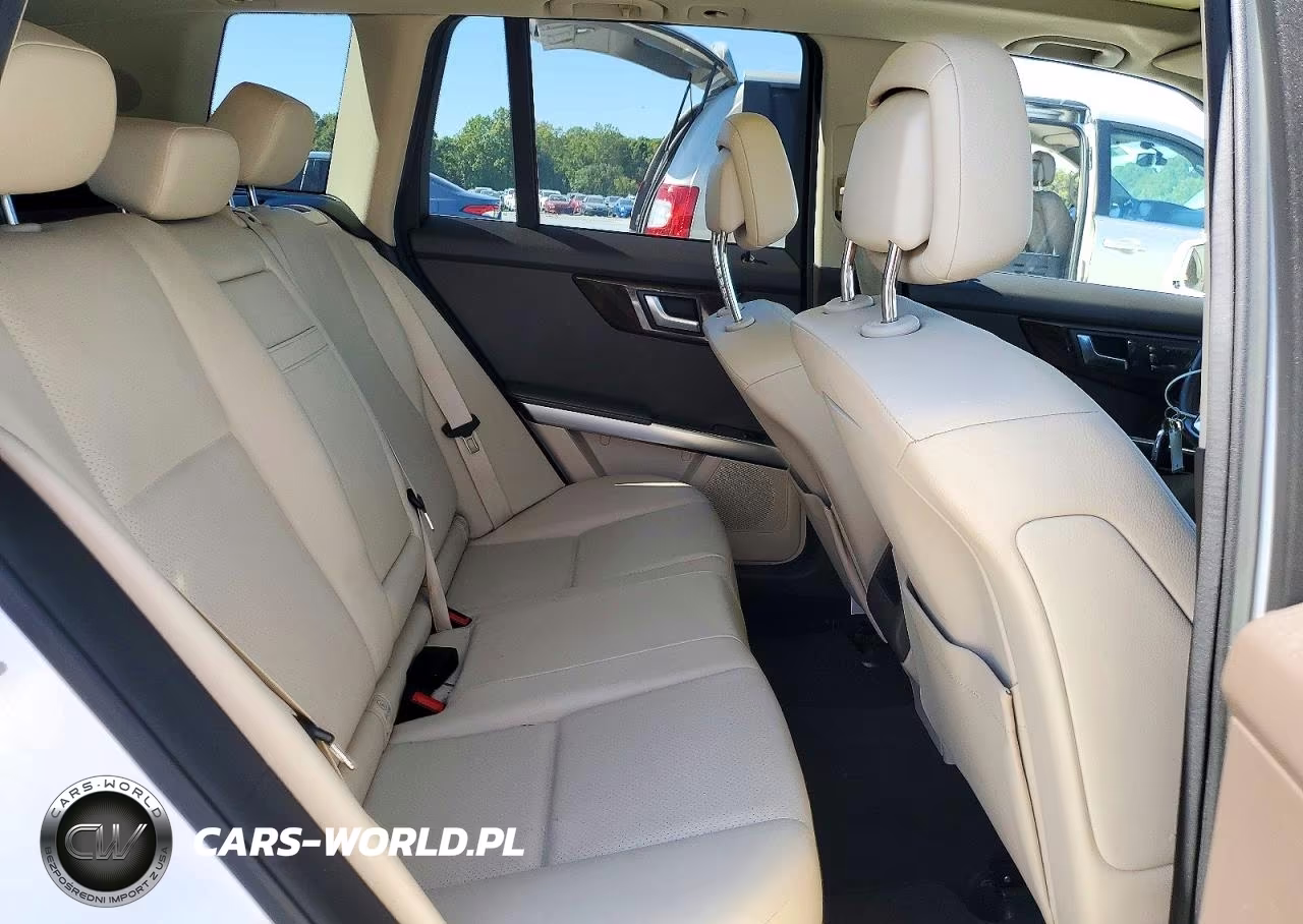 2015 Mercedes-Benz Glk 250 Bluetec VIN:WDCGG0EB1FG384708 - 10