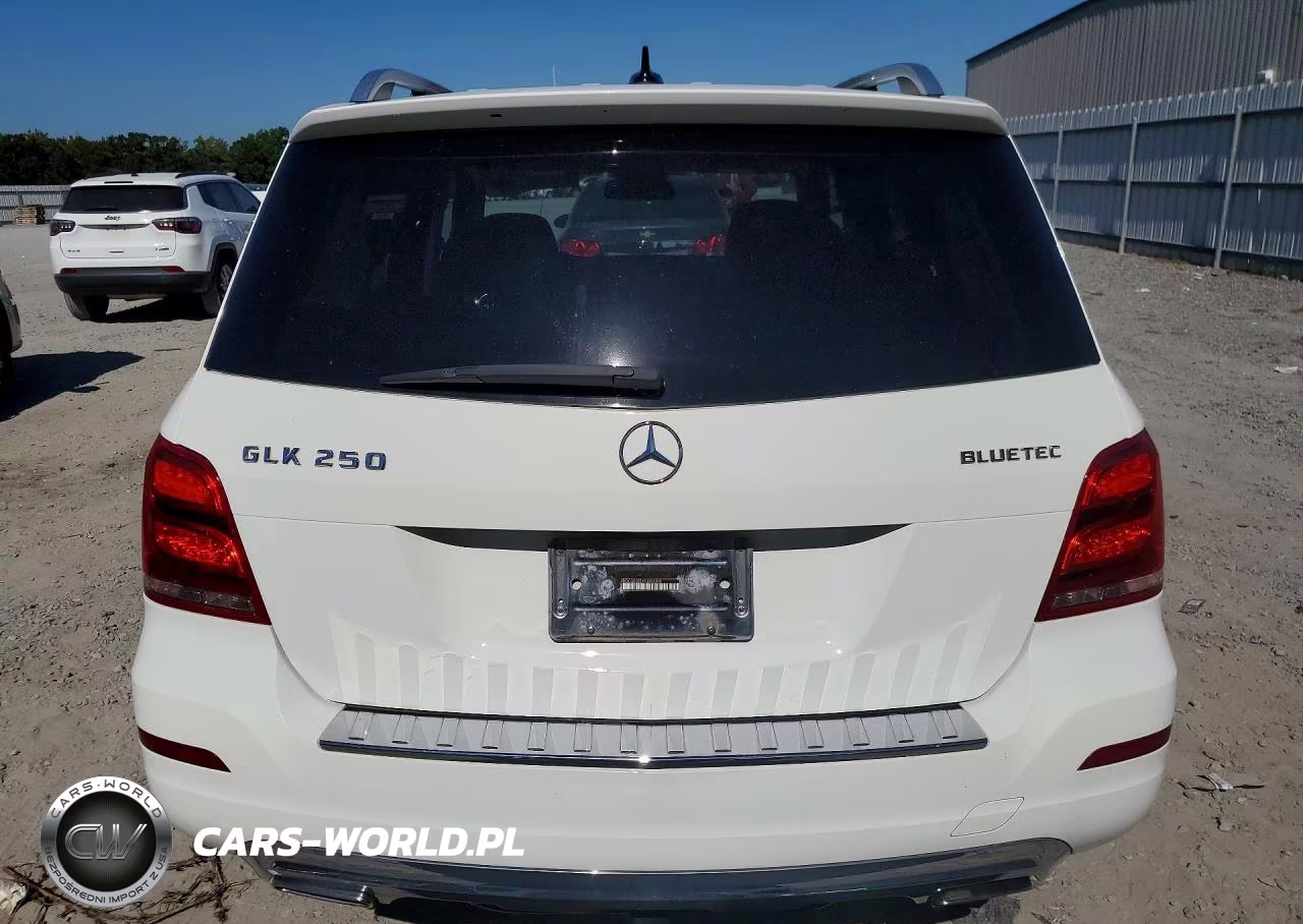 2015 Mercedes-Benz Glk 250 Bluetec VIN:WDCGG0EB1FG384708 - 6