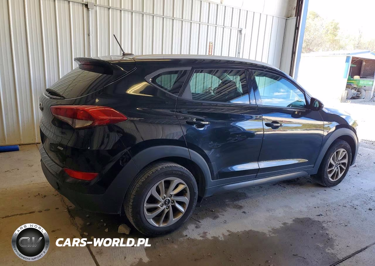 2016 Hyundai Tucson Se VIN:KM8J3CA45GU100303 - 3