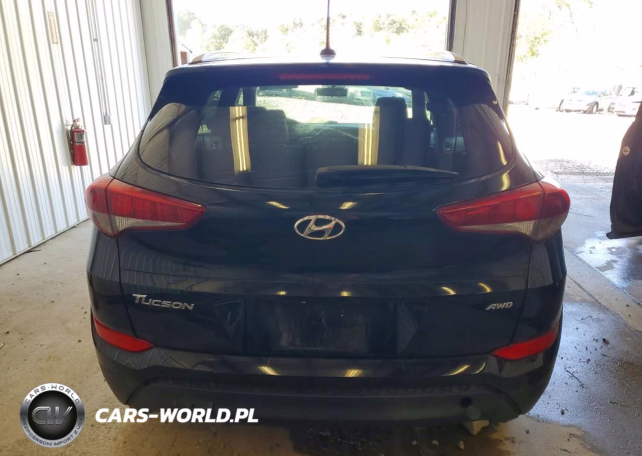2016 Hyundai Tucson Se VIN:KM8J3CA45GU100303 - 6