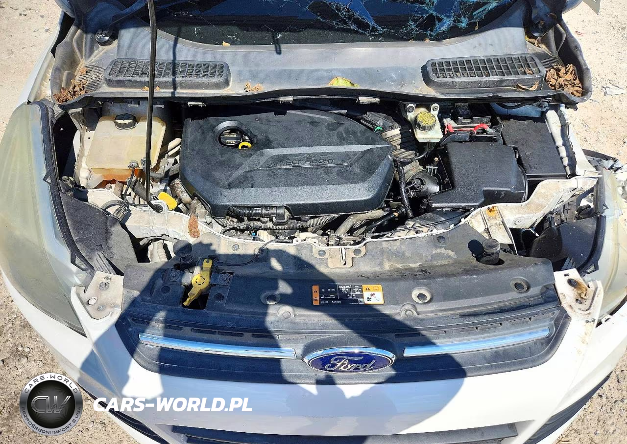 2014 Ford Escape Se VIN:1FMCU0GX7EUD65274 - 12