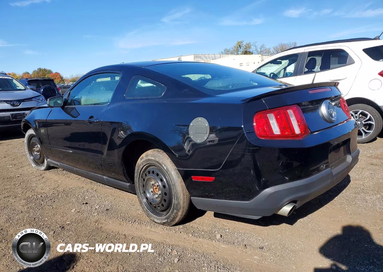 2010 Ford Mustang Gt VIN:1ZVBP8CH3A5100471 - 2