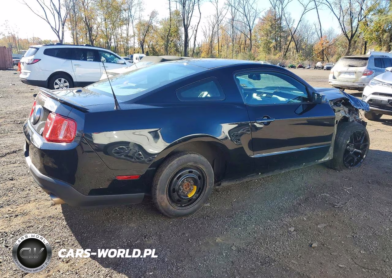 2010 Ford Mustang Gt VIN:1ZVBP8CH3A5100471 - 3
