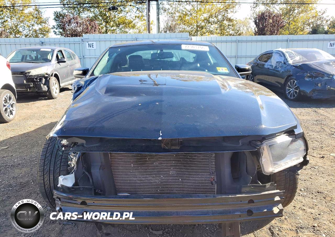 2010 Ford Mustang Gt VIN:1ZVBP8CH3A5100471 - 5