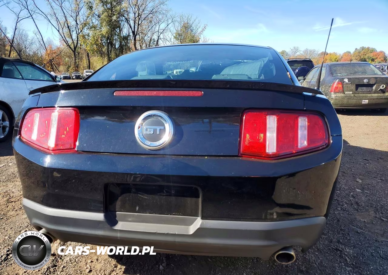 2010 Ford Mustang Gt VIN:1ZVBP8CH3A5100471 - 6