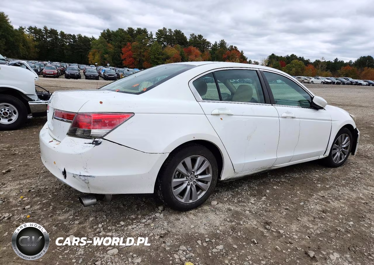 2010 Honda Accord Lxp VIN:1HGCP2F48AA022565 - 3